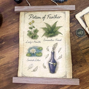 May include: A vintage scroll titled "Potion of Feather" displays botanical illustrations of Lady's Mantle, Somnalius Frond, and Sacred Lotus. A blue bottle with a feather and several loose feathers are also shown. The scroll is held by wooden bars.