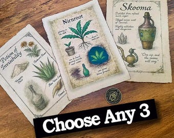 Set of 3 TES Wall Art Prints | Fantasy Scrolls Parchment Prints