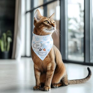 Niedliches kundengerechtes hallo, ich bin Katzenbandana-Halsband für Katzenliebhaber, lustige bunte Katzenbandanas, justierbares Katzenzubehör, personifiziertes Haustiergeschenk