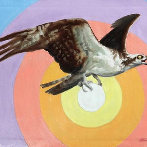 Op de afbeelding: Een olieverfschilderij van een visarend in vlucht, met een wit object, tegen een achtergrond van concentrische cirkels in oranje, geel, paars en blauw. De vleugels van de vogel zijn uitgespreid en tonen bruine en witte veren.