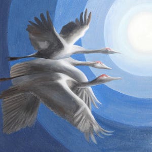 Op de afbeelding: Een artistiek schilderij van drie kraanvogels in vlucht tegen een blauwe lucht met een heldere, cirkelvormige lichtbron. De vogels zijn afgebeeld in grijstinten en wit, met rode accenten op hun hoofden.