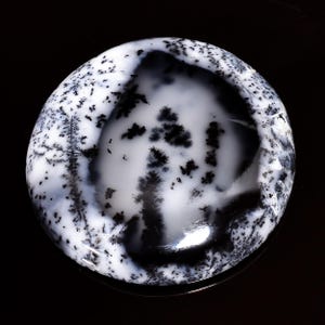 Peut inclure: Une pierre polie et ronde avec un motif saisissant d'inclusions dendritiques noires sur fond blanc. Les inclusions ressemblent à des arbres et des fougères miniatures, créant un design naturel unique. La pierre a une surface lisse et brillante.