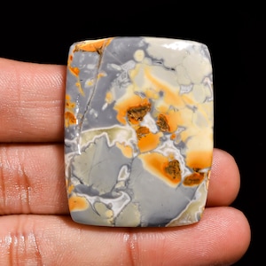 Natuurlijke maligano-jaspis cabochon Kavel – 6 grote veelvormige designerstenen – natuurlijk schilderachtig patroon Indonesische jaspis voor sieraden