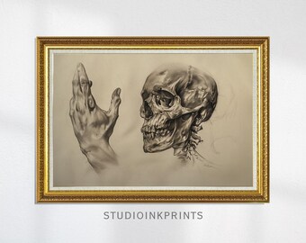 Anatomical Skull and Hand Sketch Printable Wall Art Dark Academia Gothic Anatomy Print Vintage Medical Illustration Macabre Digital Download