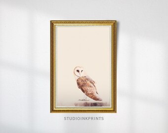 Arte de pared imprimible de acuarela de búho común, decoración del hogar de aves estilo cottagecore, ilustración de animales del bosque de estilo rústico minimalista, descarga digital