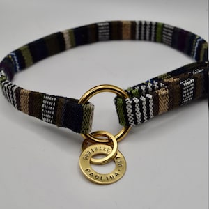 Könnte beinhalten: Ein schwarzes, grünes und weiß gestreiftes Stoffhundekragen mit einem goldenen Metallring und zwei goldenen Metalletiketten. Die Etiketten sind mit dem Text "PAOLINA" und "3218998" graviert.