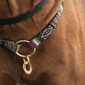 Könnte beinhalten: Nahaufnahme eines Hundes, der ein buntes gewebtes Hundehalsband mit einem Messingring und einem runden Messinganhänger trägt.