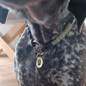 Personalized Dog Collar with Donut Tag