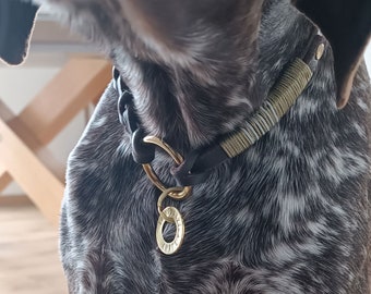 Personalized Dog Collar with Donut Tag