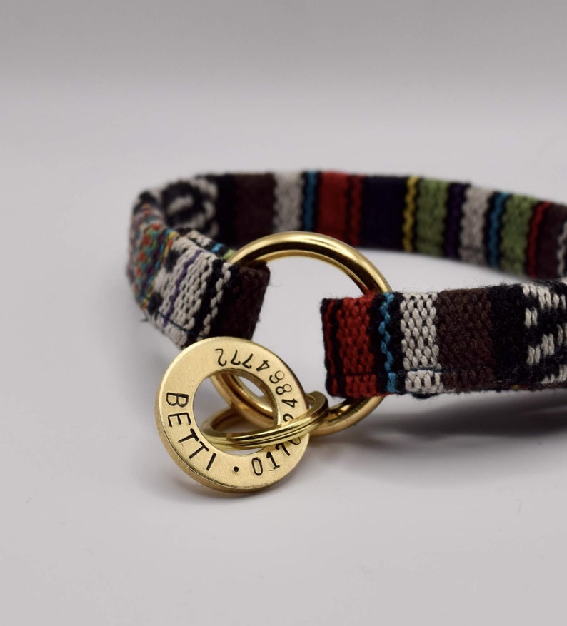 May include: A colorful striped dog collar with a gold metal D-ring and a gold tag engraved with "BETTI" and numbers.