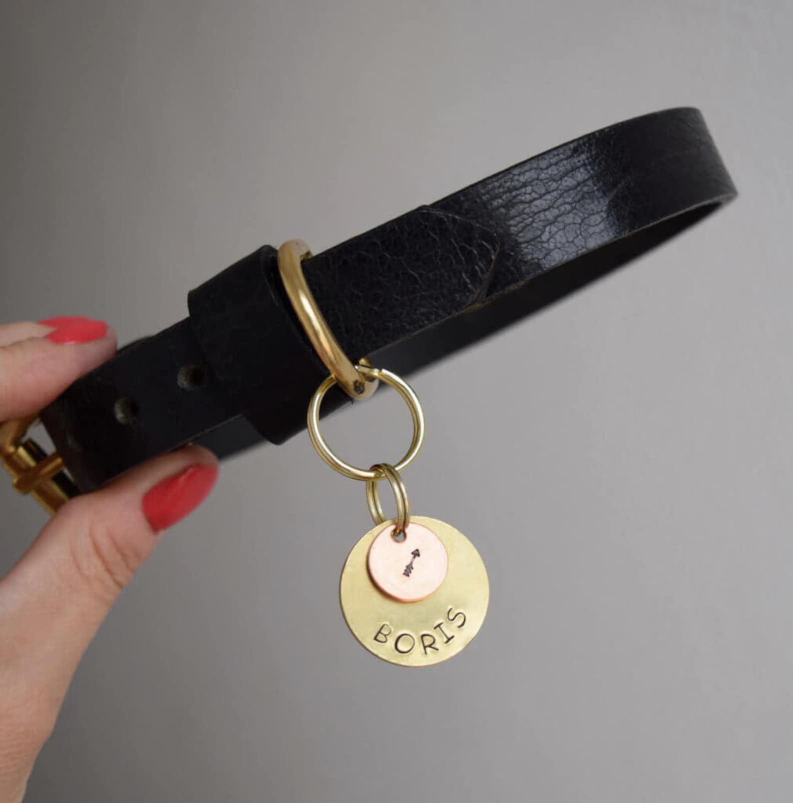 Dog Collar with ID tag Etsy
