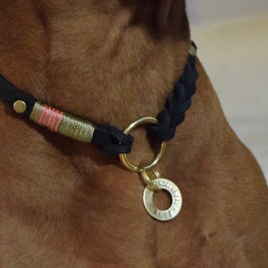 Markenhalsband Easy  mit Hundemarke