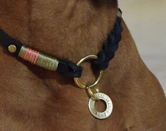 Markenhalsband Easy mit Hundemarke