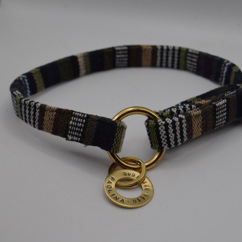May include: A black and brown striped dog collar with a gold metal ring and two engraved tags. The tags read "1969" and "PAULINA".
