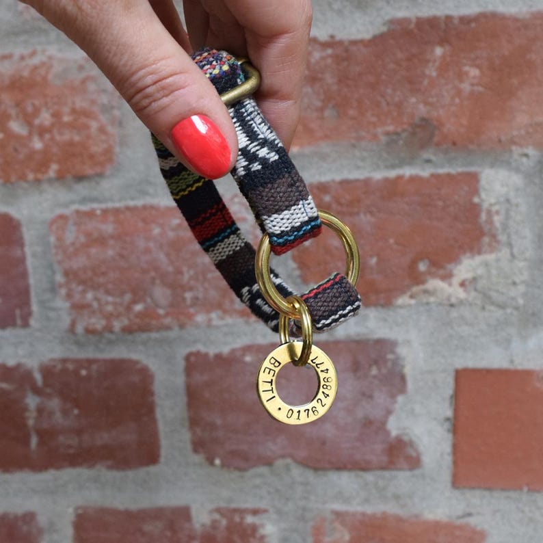May include: A brown and black patterned dog collar with a gold metal ring and a round gold tag engraved with "BETTI" and a phone number.
