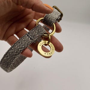 May include: A dog collar featuring a black and white herringbone pattern with brass hardware, including a D-ring and a circular brass identification tag engraved with the name ROSA and numerical digits, held against a plain white background.