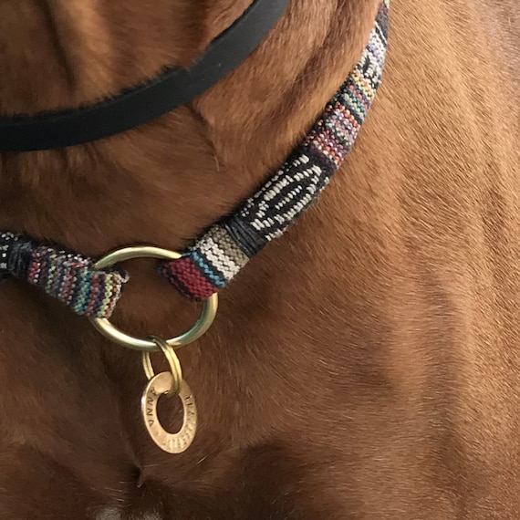 Markenhalsband Peru mit Hundemarke