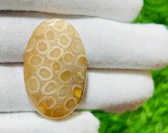 Top Grade Fossil Coral Loose gemstone, Fossil Coral Cabochon, Size (37x23x5mm) And Shape Oval, Hand made Loose Gemstone Jewelry Making,