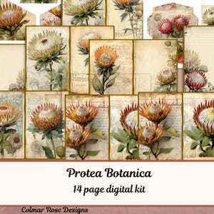 May include: A digital kit featuring botanical illustrations of protea flowers in shades of orange, yellow, and green. The kit includes various stationery items like cards and envelopes, with the text "Protea Botanica" and "14 page digital kit".