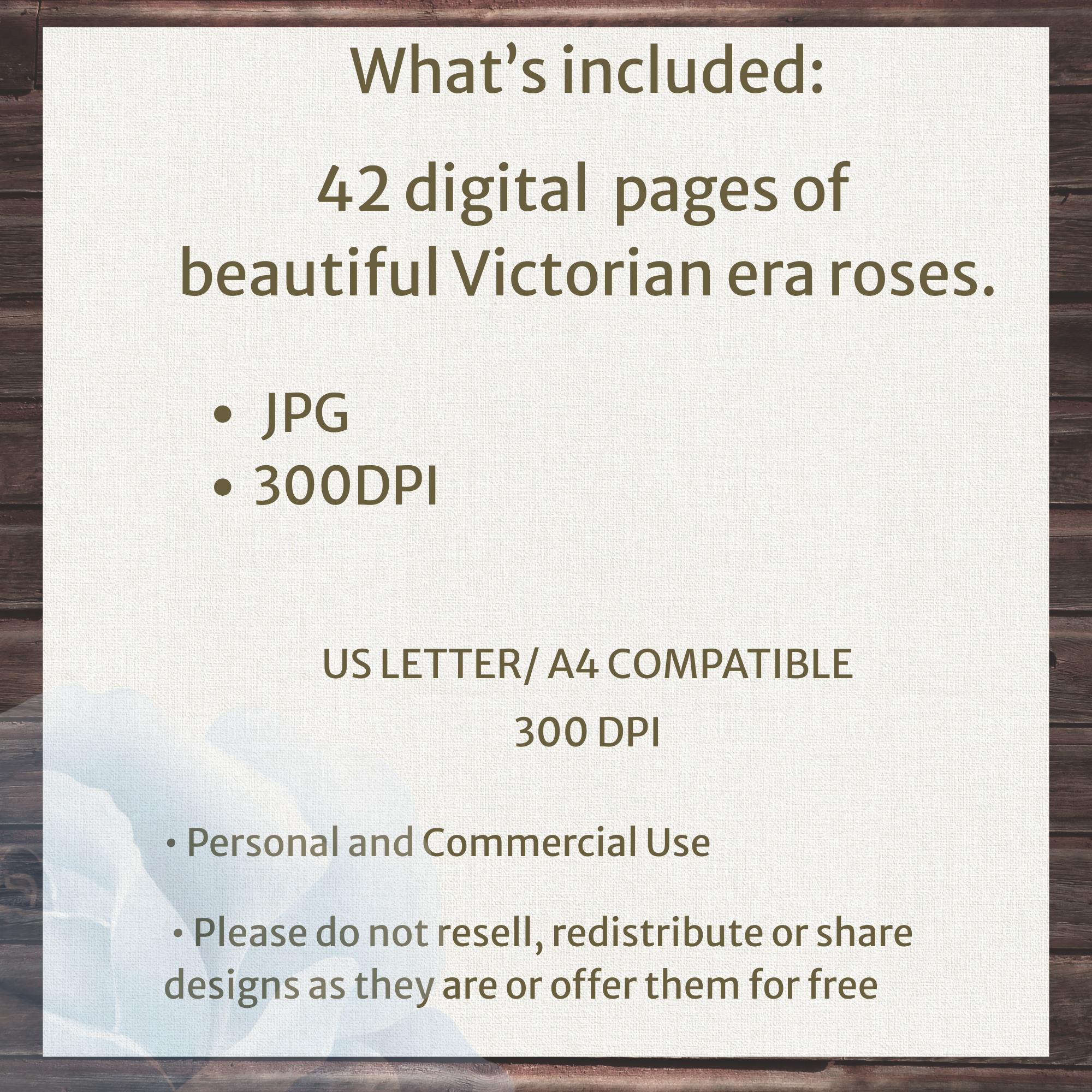 Victorian Rose Digital Papers | Shabby Chic Floral Backgrounds (digital ...