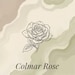 ColmarRose store logo