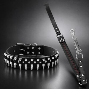 Könnte beinhalten: Ein schwarzes Lederhalsband mit einer Reihe silberfarbener, patronenförmiger Nieten sowie eine passende schwarze Lederleine mit roten Nähten, einer Metallfeder als Stoßdämpfer und einem silberfarbenen Karabinerhaken.