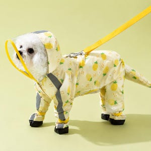 May include: A light yellow dog raincoat featuring a repeating pineapple pattern, a clear plastic hood visor, reflective grey stripes on the legs, and black cuffs. The garment includes a yellow lead attached to a metal ring on the back.