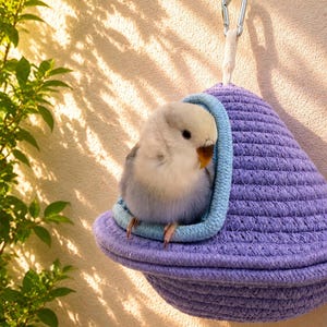 Nido de pájaro colgante hecho a mano, cama para periquitos, agapornis y cacatúas, acogedora jaula, refugio, columpio, juguete, casa de pájaros colgante de macramé tejido suave, cama para mascotas