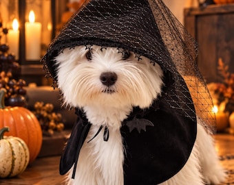 Peut inclure: Un chien West Highland White Terrier blanc portant une cape noire à capuche pointue, ornée d'une bordure en dentelle noire et d'un voile en résille noire. La cape présente une petite applique en forme de chauve-souris et un ruban.