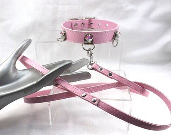 kitten collar and leash
