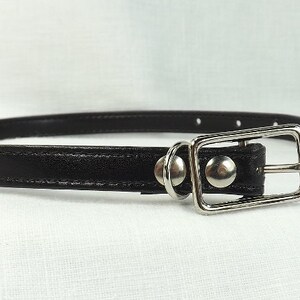 May include: A black leather collar with a silver buckle and two silver rings. The collar is about 1 inch wide.