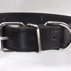 May include: A black leather dog collar with a silver buckle and D-ring.