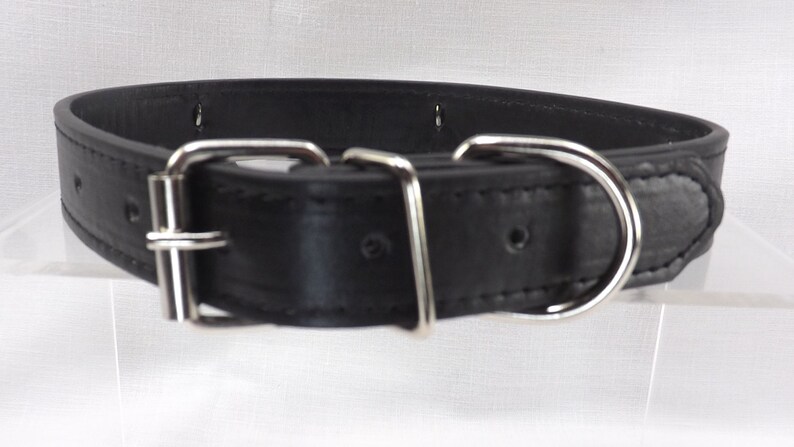 May include: A black leather dog collar with a silver buckle and D-ring.