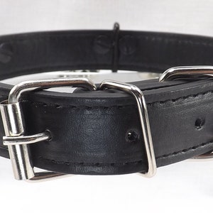 May include: Black leather dog collar with a silver buckle and D-ring.