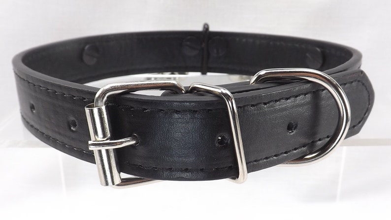 May include: Black leather dog collar with a silver buckle and D-ring.