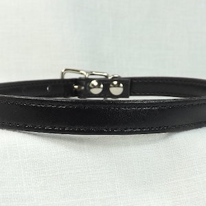 May include: A black leather collar with a silver buckle and two silver studs.