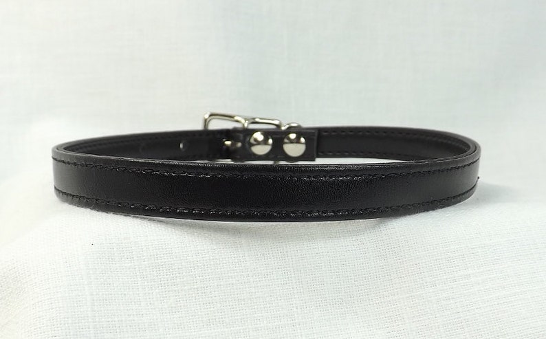 May include: A black leather collar with a silver buckle and two silver studs.