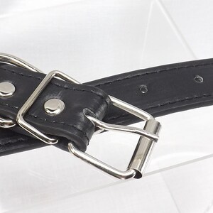 May include: Black leather dog collar with a silver buckle and a silver D-ring. The collar has multiple holes for adjusting the size.