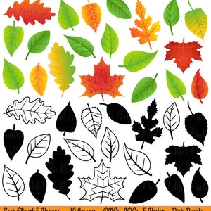 Leaves Clipart Clip Art, Fall Leaves Autumn Leaves Leaf Clipart Clip Art - Commercial and Personal Use