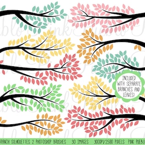 Branch Silhouettes 2 Photoshop Brushes, Tree Branch Photoshop Brush - Commercial and Personal Use