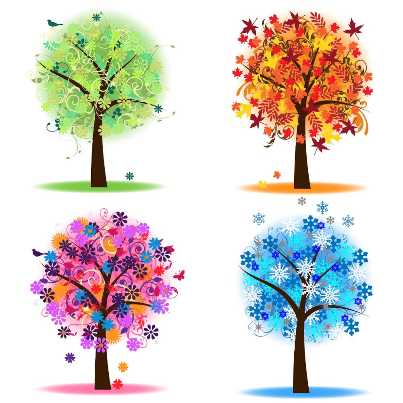 spring fall autumn winter summer spring fall autumn winter summer