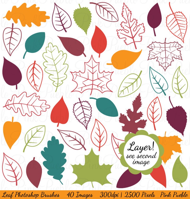 Leaves Brushes Fall Leaves Autumn Leaves Leaf Etsy