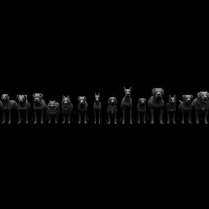 Miniatures - Large Dogs