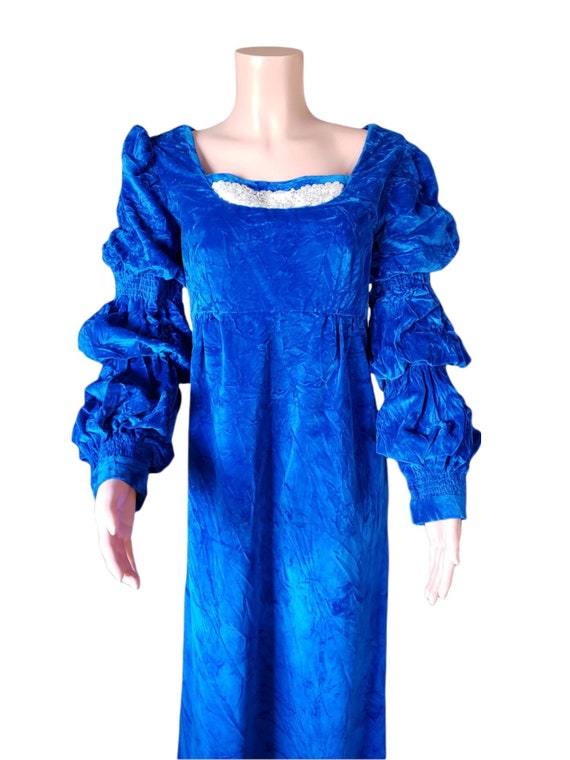 Blue Velvet Renaissance Style Maxi Dress Costume โฆ - image 2