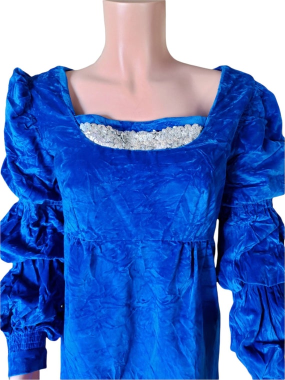 Blue Velvet Renaissance Style Maxi Dress Costume โฆ - image 1