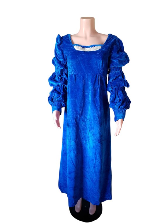 Blue Velvet Renaissance Style Maxi Dress Costume โฆ - image 4