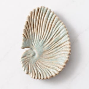 Könnte beinhalten: Eine keramische Muschelschale mit strukturierter Oberfläche. Die Schale hat ein spiralförmiges Design mit einer hellblauen und beigen Farbpalette. Ideal zum Aufbewahren kleiner Gegenstände, verleiht sie jedem Raum einen maritimen Touch.