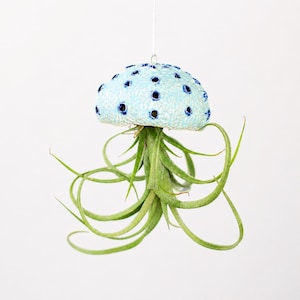 Può includere: Una pianta aerea sospesa in una fioriera a forma di medusa in ceramica azzurra con dettagli a pois blu scuro. La pianta ha lunghe foglie verdi e ricci. La fioriera è sospesa da un filo sottile e bianco su sfondo bianco.