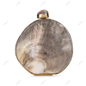 May include: A pearlescent, shell-shaped clutch with a gold-tone frame and clasp. The iridescent surface transitions from gray to white, with a small, rounded, gold-accented closure at the top. The clutch is a unique accessory.