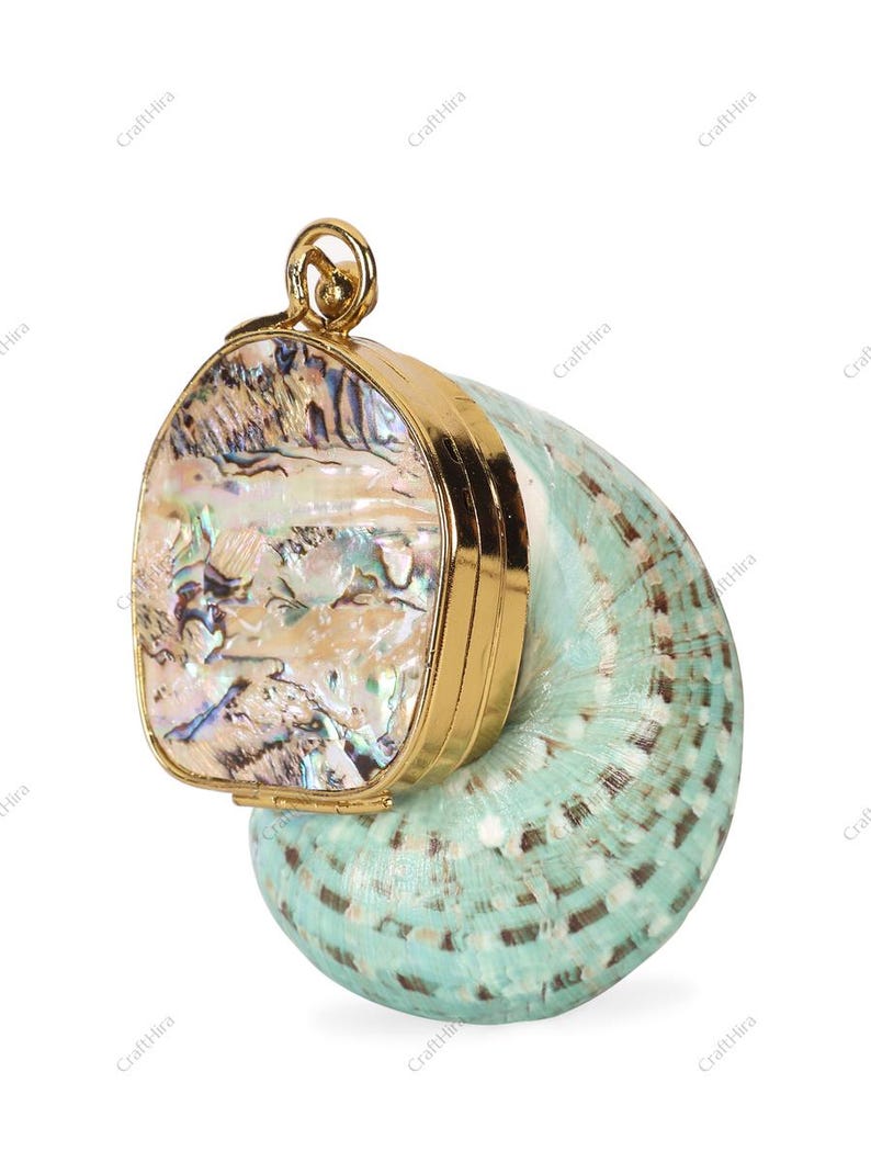 Real Green Turban Sea Shell Clutch Handbag | Natural Nautilus Mini ...